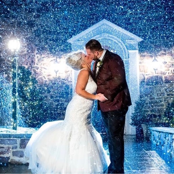 Meet your Posher, Casey - Picture 2 of 2